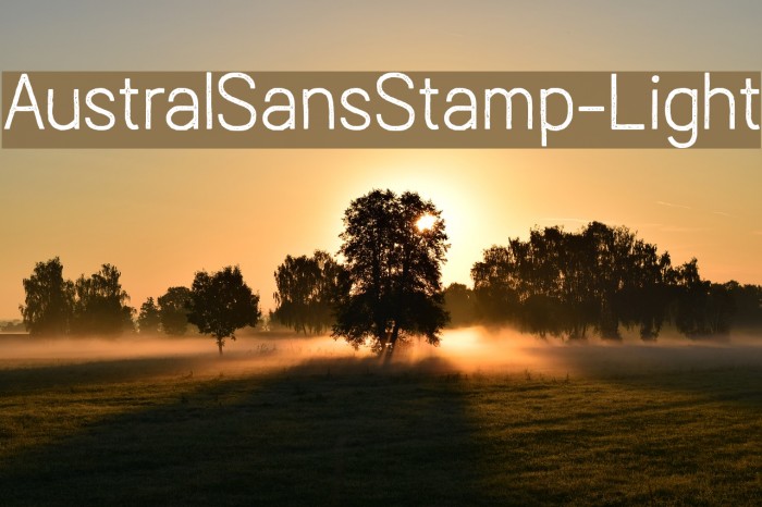AustralSansStamp-Light Font examples
