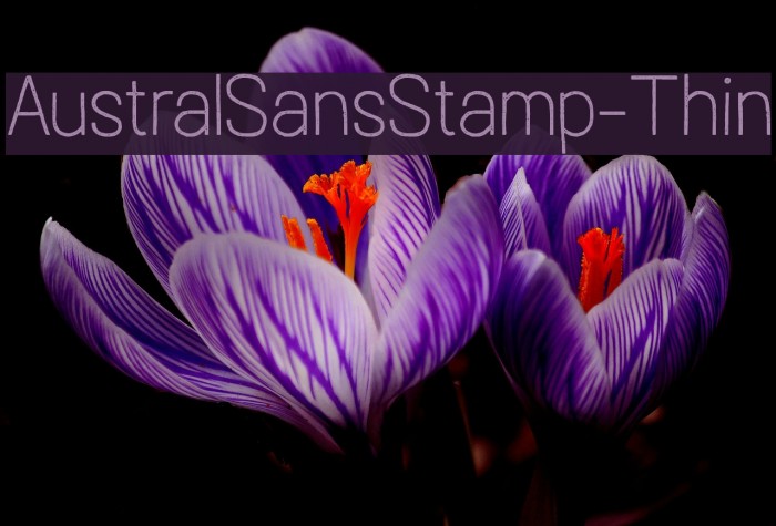 AustralSansStamp-Thin Font examples