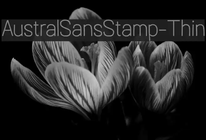AustralSansStamp-Thin Шрифта examples