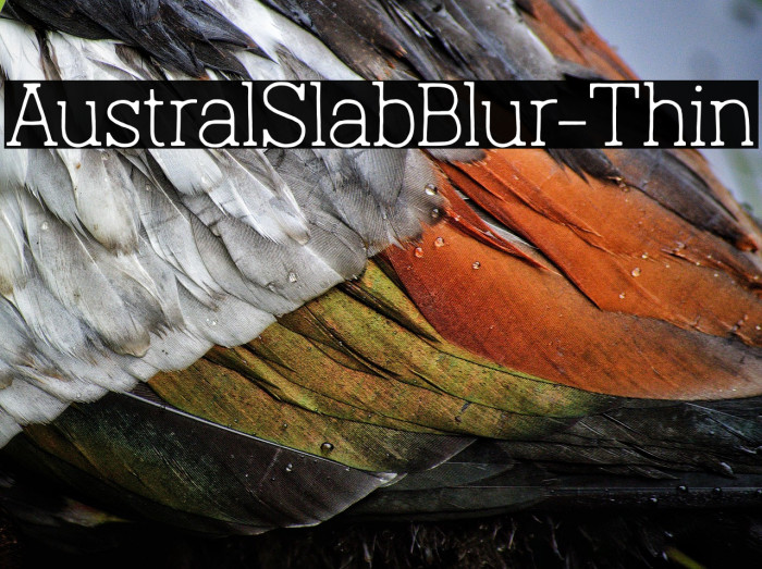 AustralSlabBlur-Thin Example 2