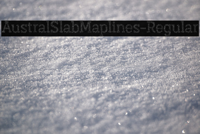 AustralSlabMaplines-Regular Example 2
