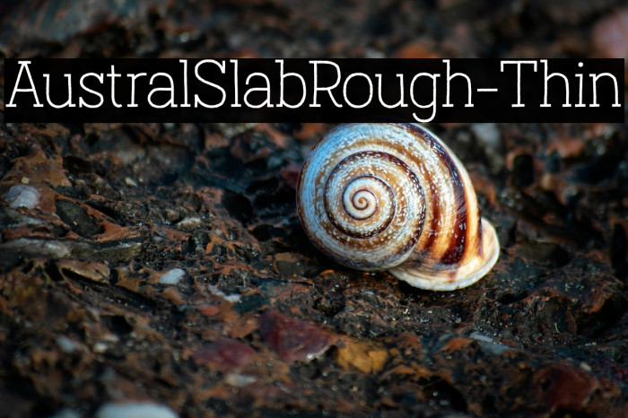 AustralSlabRough-Thin Example 3