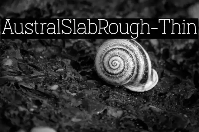 AustralSlabRough-Thin Font examples