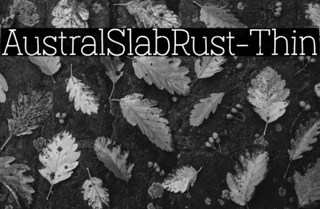 AustralSlabRust-Thin Font examples