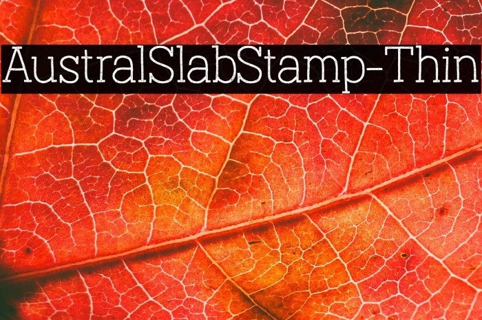 AustralSlabStamp-Thin Example 3