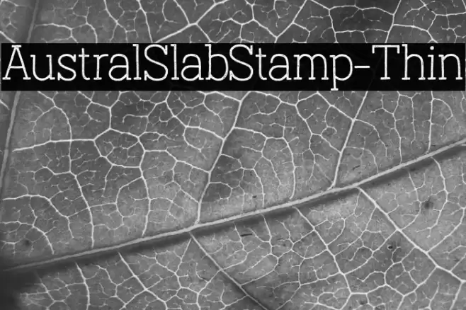 AustralSlabStamp-Thin Font examples