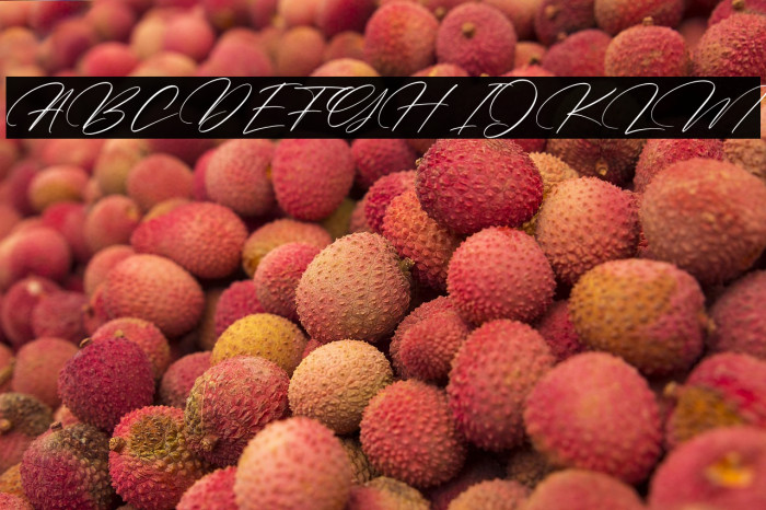 Australia Belmonte Example 2