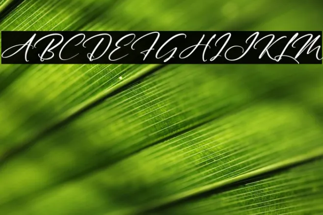 Australia Custom Italic Example 1
