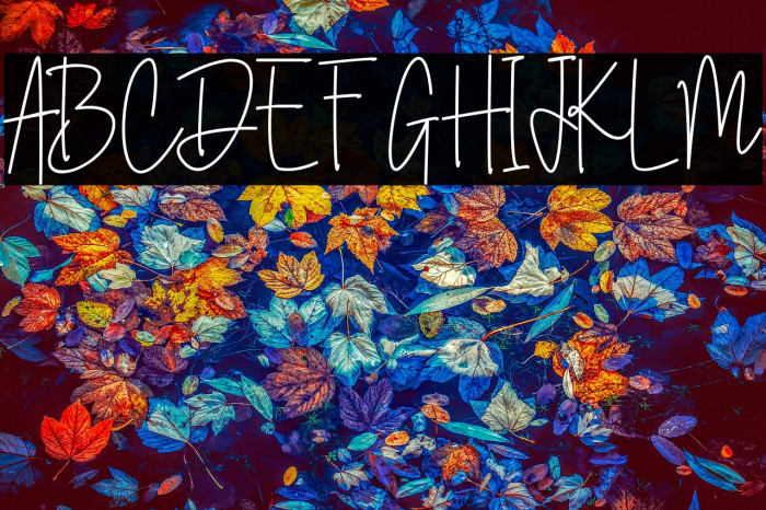 Australia Signature Example 1