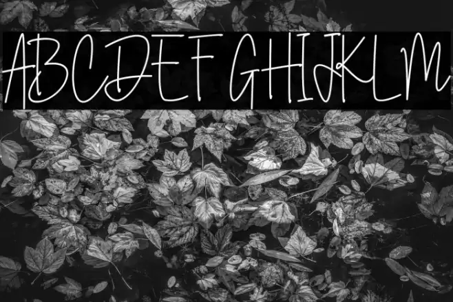 Australia Signature Font examples