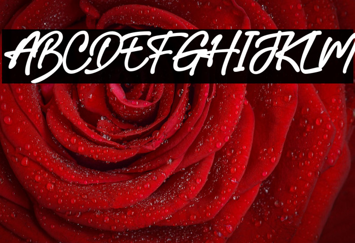 Australian Signature Schriftart examples