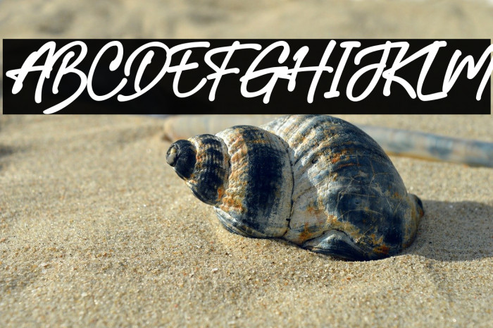 Australian Signature Schriftart examples