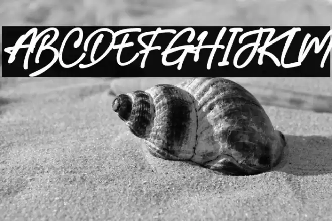 Australian Signature  examples