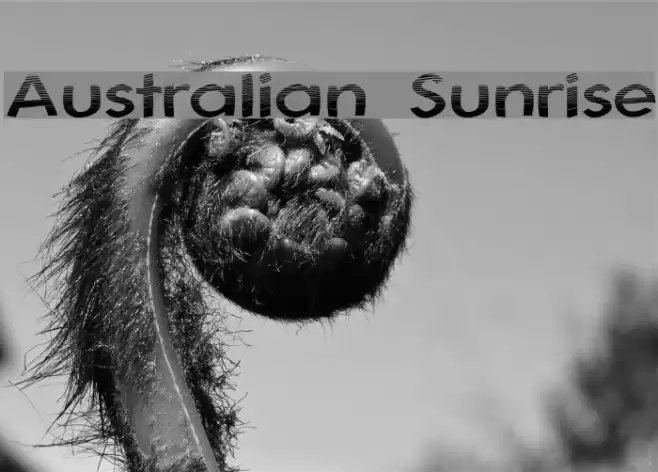 Australian Sunrise फ़ॉन्ट examples