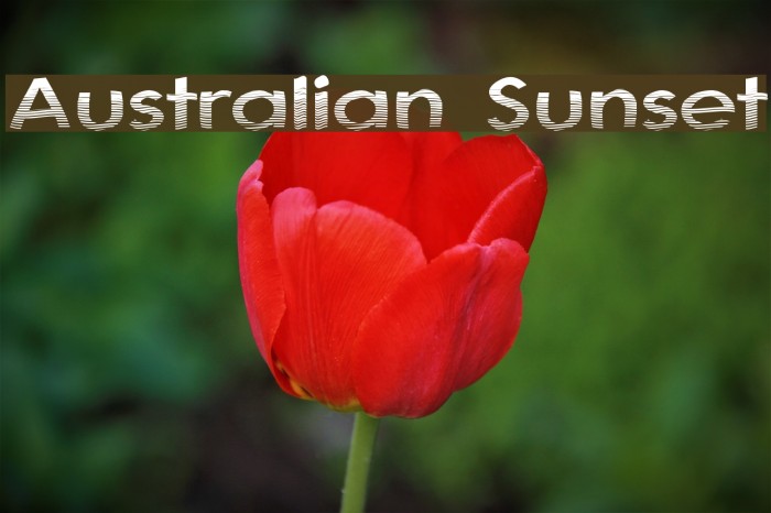 Australian Sunset Fonte examples