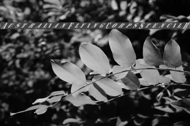 AustralianFlyingCorpsStencilB Font examples