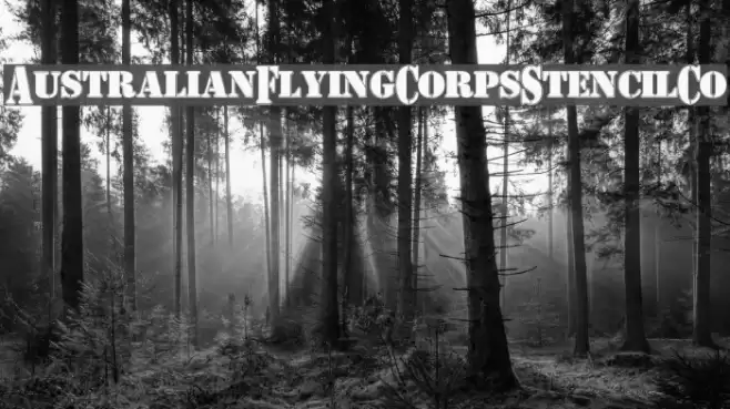 AustralianFlyingCorpsStencilCo Font examples