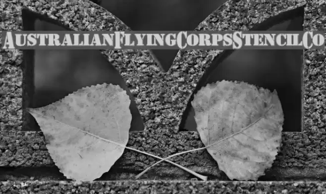 AustralianFlyingCorpsStencilCo Font examples