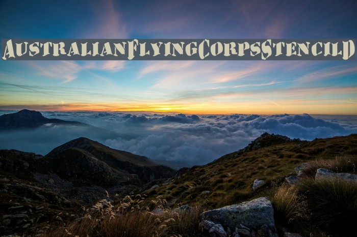 AustralianFlyingCorpsStencilD Font examples