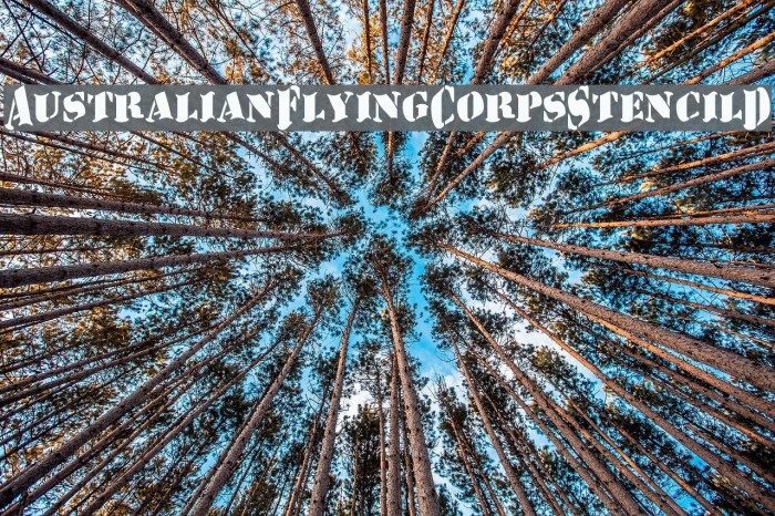 AustralianFlyingCorpsStencilD Font examples