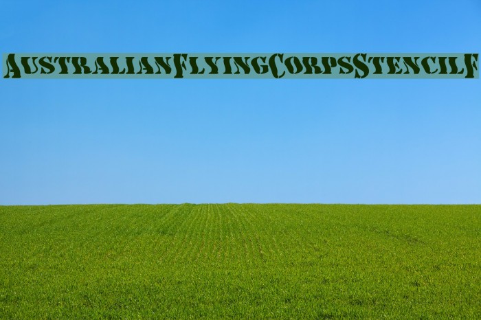 AustralianFlyingCorpsStencilF Example 1
