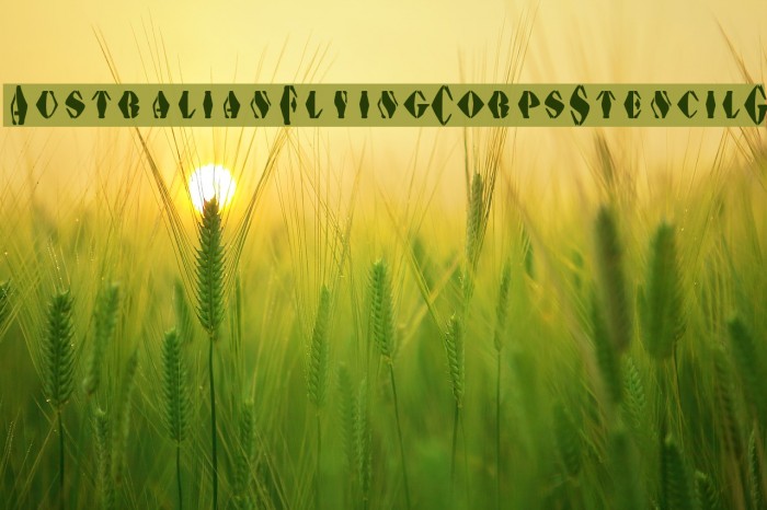 AustralianFlyingCorpsStencilG Font examples