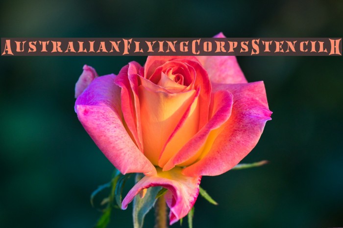 AustralianFlyingCorpsStencilH Font examples