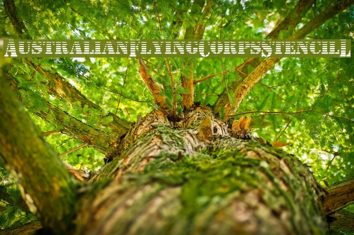 AustralianFlyingCorpsStencilL Example 1