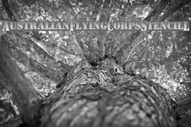 AustralianFlyingCorpsStencilL Font examples