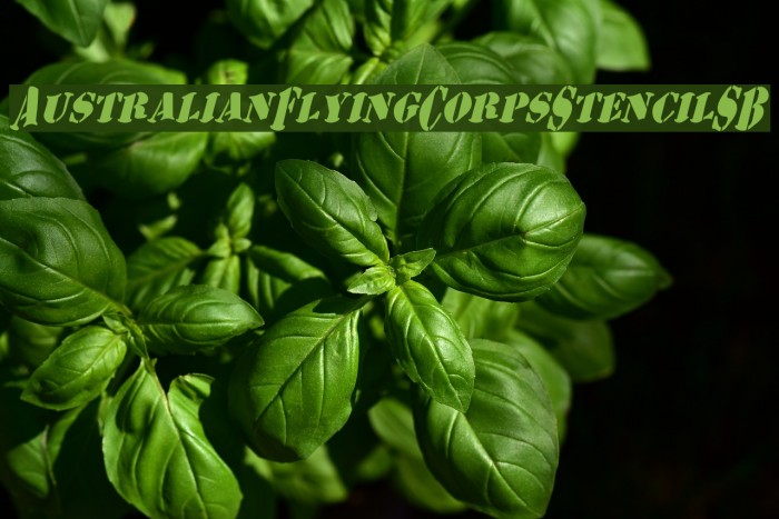 AustralianFlyingCorpsStencilSB Font examples