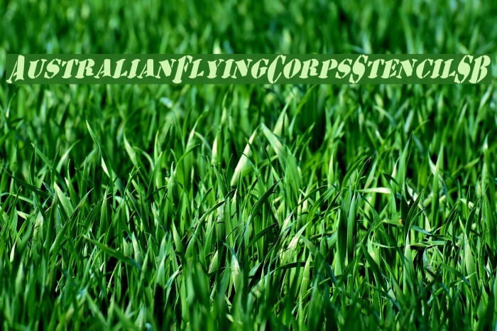 AustralianFlyingCorpsStencilSB Font examples