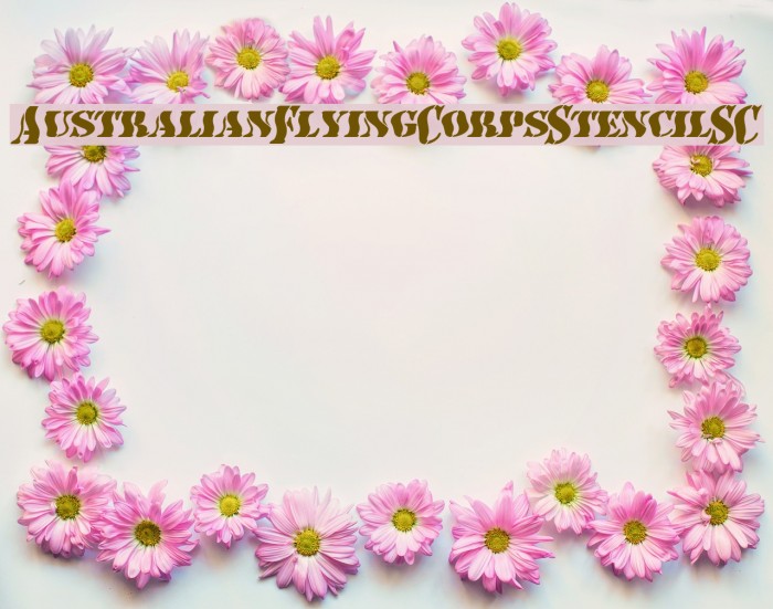 AustralianFlyingCorpsStencilSC Font examples