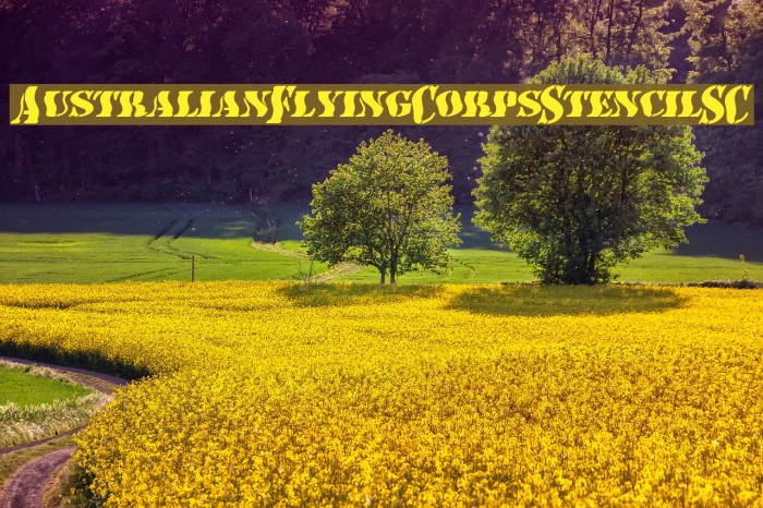 AustralianFlyingCorpsStencilSC Font examples