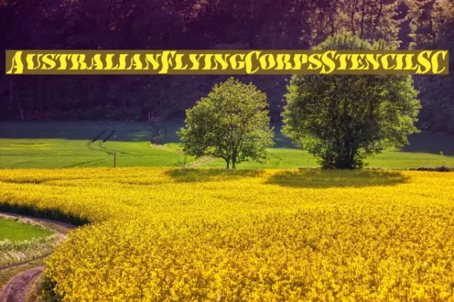 AustralianFlyingCorpsStencilSC Example 3