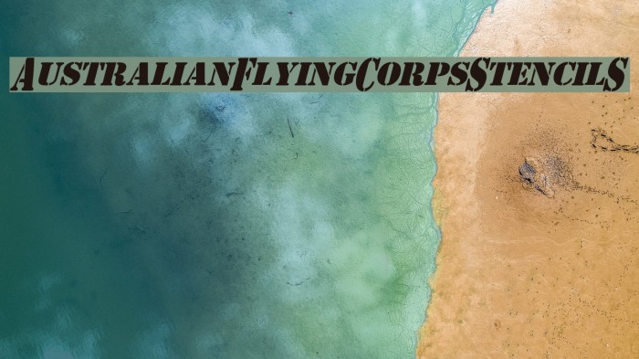 AustralianFlyingCorpsStencilS Example 1