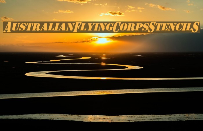 AustralianFlyingCorpsStencilS Example 2