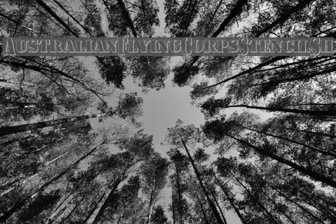 AustralianFlyingCorpsStencilSh Schriftart examples
