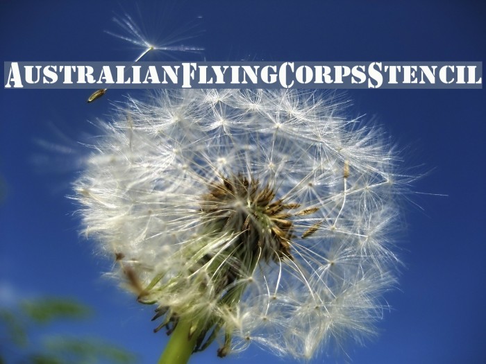 AustralianFlyingCorpsStencil Font examples