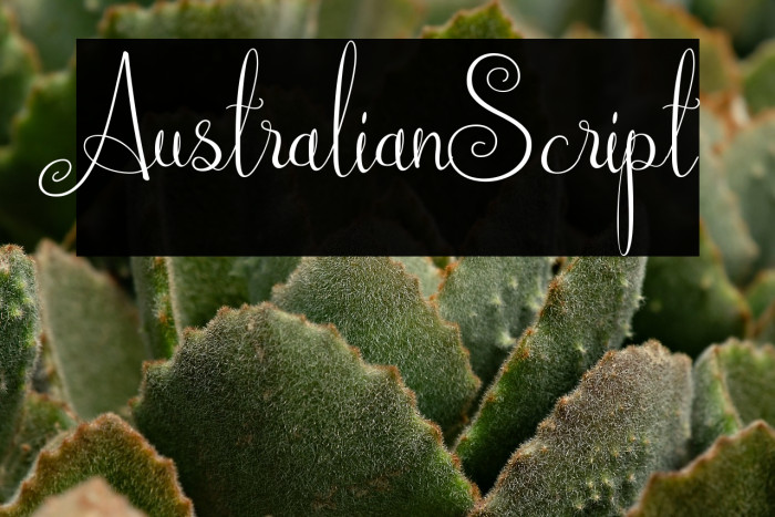 AustralianScript Example 2