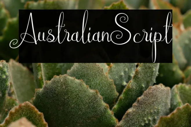 AustralianScript Example 2