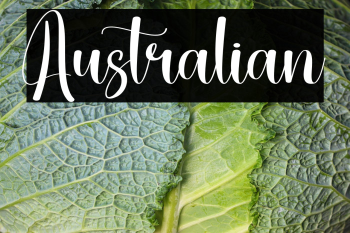 Australian Example 2