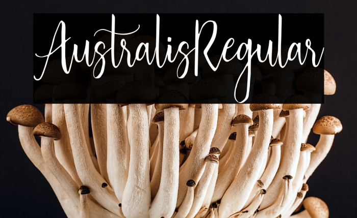 Australis-Regular Example 3
