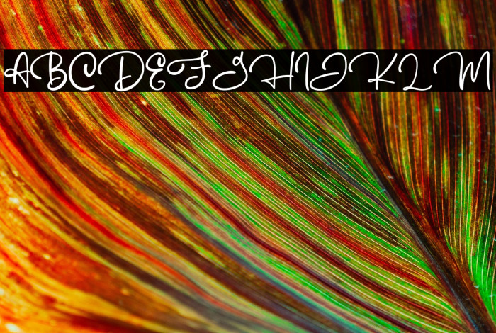 Australove Example 1