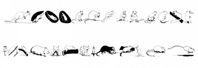 AustranimalsOne 字体 大写