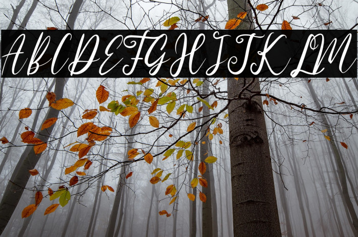 Austria Memories Example 3