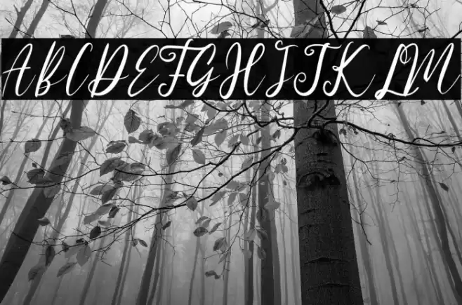 Austria Memories Font examples