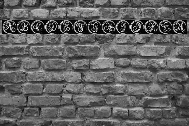 Austy Monogram Font examples