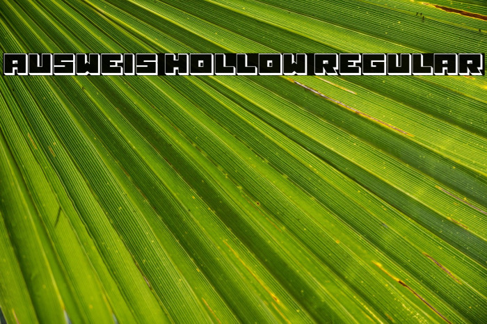 Ausweis Hollow Regular Example 3