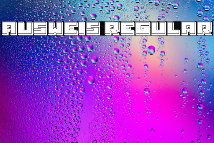 Ausweis Regular Example 2