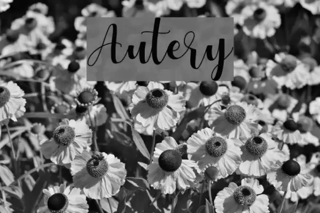 Autery Font examples